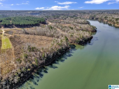 ATTENTION INVESTORS & DEVELOPERS! This rare 98-acre Smith Lake - photo 3