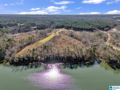 ATTENTION INVESTORS & DEVELOPERS! This rare 98-acre Smith Lake - photo 4