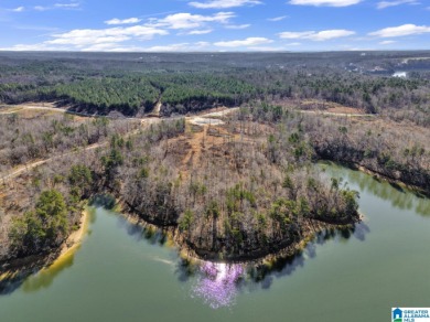 ATTENTION INVESTORS & DEVELOPERS! This rare 98-acre Smith Lake - photo 5