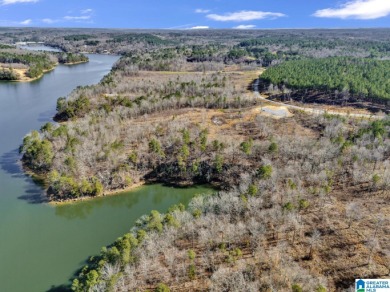 ATTENTION INVESTORS & DEVELOPERS! This rare 98-acre Smith Lake - photo 6