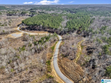 ATTENTION INVESTORS & DEVELOPERS! This rare 98-acre Smith Lake - photo 7