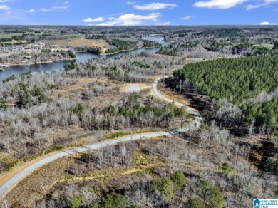 ATTENTION INVESTORS & DEVELOPERS! This rare 98-acre Smith Lake - photo 8