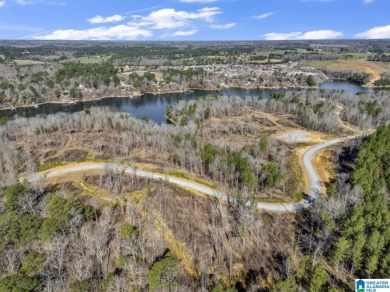 ATTENTION INVESTORS & DEVELOPERS! This rare 98-acre Smith Lake - photo 9