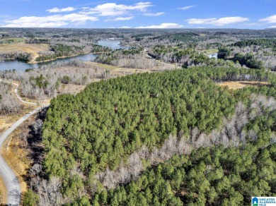 ATTENTION INVESTORS & DEVELOPERS! This rare 98-acre Smith Lake - photo 10