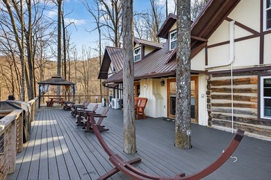 Income-Producing Lakefront Cabin + Guest House + Game Room A - photo 11