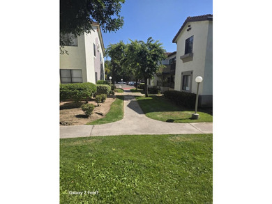 3586 Sunset Ln 138 - photo 11