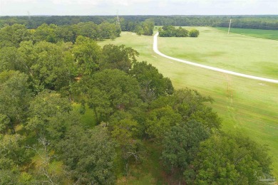Black Warrior River Lot For Sale in Greensboro Alabama