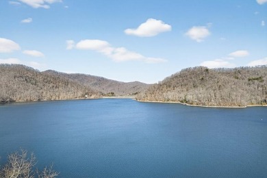 Income-Producing Lakefront Cabin + Guest House + Game Room A - photo 12