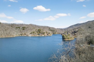 Income-Producing Lakefront Cabin + Guest House + Game Room A - photo 13
