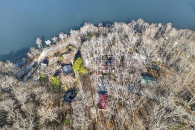Income-Producing Lakefront Cabin + Guest House + Game Room A - photo 15