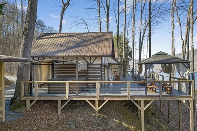 Income-Producing Lakefront Cabin + Guest House + Game Room A - photo 17