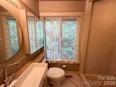 In 1971, this house was FABULOUS - and Tryon was historic. This - photo 25