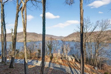 Income-Producing Lakefront Cabin + Guest House + Game Room A - photo 25