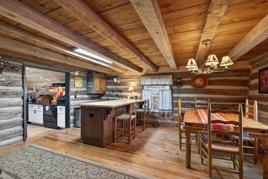 Income-Producing Lakefront Cabin + Guest House + Game Room A - photo 27