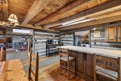 Income-Producing Lakefront Cabin + Guest House + Game Room A - photo 28