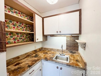 In 1971, this house was FABULOUS - and Tryon was historic. This - photo 37