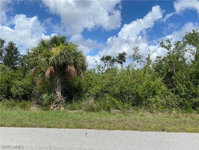 Nice canal lot with an eastern rear exposure to build your new - photo 1