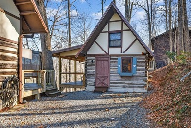 Income-Producing Lakefront Cabin + Guest House + Game Room A - photo 49