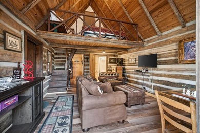 Income-Producing Lakefront Cabin + Guest House + Game Room A - photo 50