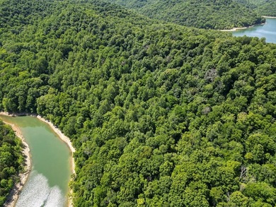 Are you looking lakeview property? You will have a beautiful - photo 3