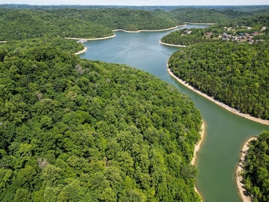 Are you looking lakeview property? You will have a beautiful - photo 4