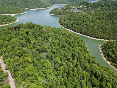 Are you looking lakeview property? You will have a beautiful - photo 5