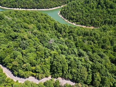 Are you looking lakeview property? You will have a beautiful - photo 6
