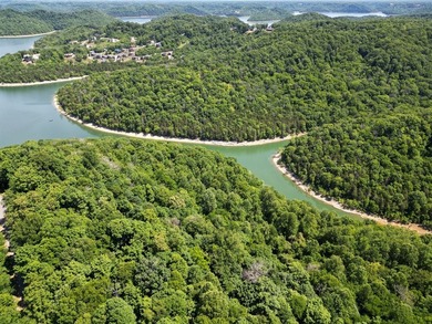 Are you looking lakeview property? You will have a beautiful - photo 7