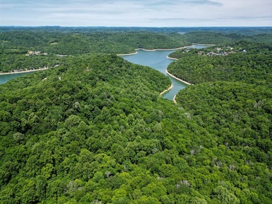 Are you looking lakeview property? You will have a beautiful - photo 8