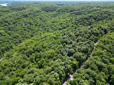 Are you looking lakeview property? You will have a beautiful - photo 9