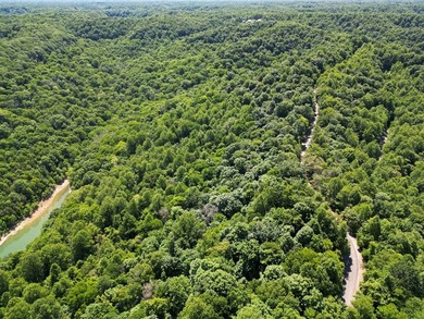 Are you looking lakeview property? You will have a beautiful - photo 10