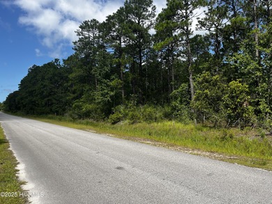 Boiling Spring Lake Commercial For Sale in Boiling Spring Lakes North Carolina