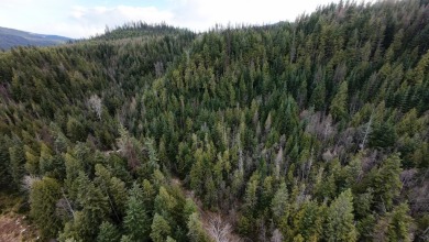 (private lake, pond, creek) Acreage For Sale in Ione Washington