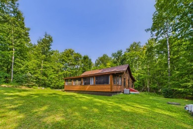 Lake Home For Sale in Hackensack, Minnesota