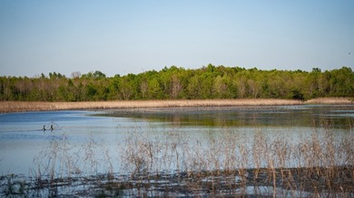 Welcome to Floweree, a true sportsman's paradise in the - photo 9