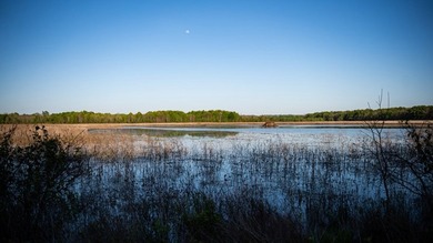 Welcome to Floweree, a true sportsman's paradise in the - photo 10