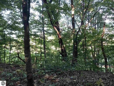 Crystal Downs Country Club rare vacant lot for sale on the - photo 5