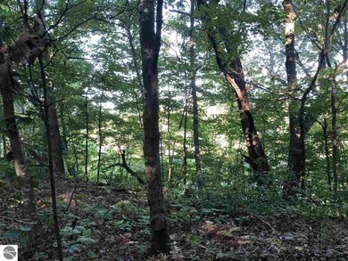 Crystal Downs Country Club rare vacant lot for sale on the - photo 6