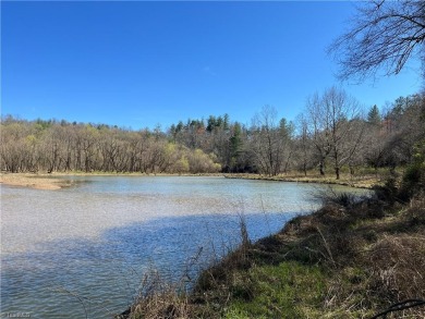 W Kerr Scott Lake Acreage For Sale in Boomer North Carolina