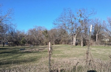 Half acre of land and doublewide situated on three lots totaling - photo 6
