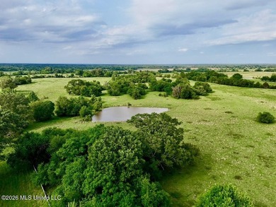 This exceptional 197+/- acre tract just outside Flora presents a - photo 1