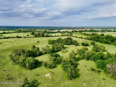 This exceptional 197+/- acre tract just outside Flora presents a - photo 4