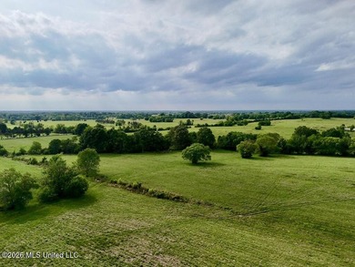 This exceptional 197+/- acre tract just outside Flora presents a - photo 6
