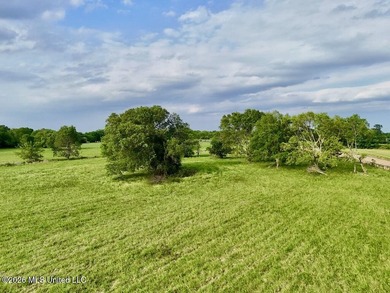 This exceptional 197+/- acre tract just outside Flora presents a - photo 7