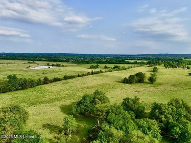 This exceptional 197+/- acre tract just outside Flora presents a - photo 8