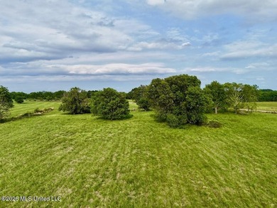 This exceptional 197+/- acre tract just outside Flora presents a - photo 9