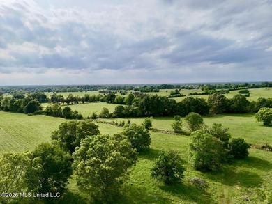 This exceptional 197+/- acre tract just outside Flora presents a - photo 10