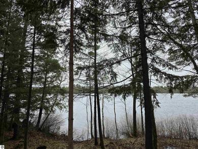 FIXER UPPER PROPERTY. Up north cottage for sale, in the heart of - photo 3