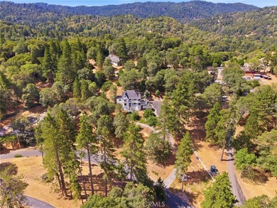 Nestled in the scenic mountains of Crestline, this inviting home - photo 3