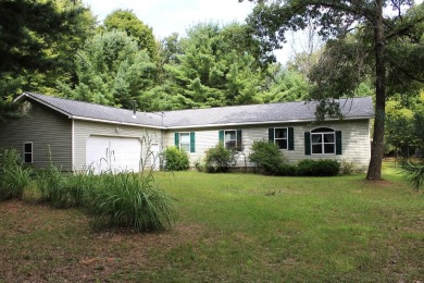 Lake Home For Sale in Newaygo, Michigan